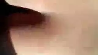 نائب الرئيس على الثدي موانئ دبي غش
