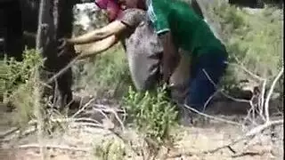 ثنائي مزدوج الميول: زوج يرتدي اللاتكس يشارك زوجته مع رجل أسود مهيمن