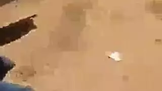 نِيَکْ مًحًجّبًةّ مًصّريَهّ فُيَ آلَخِلَآء