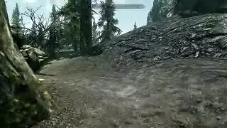 غابة سير سباحة